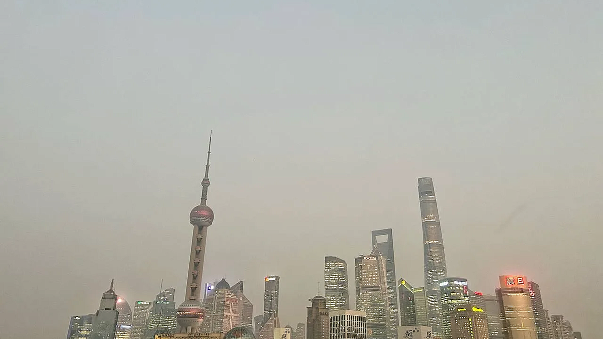    Фото: телеканал «Краснодар»