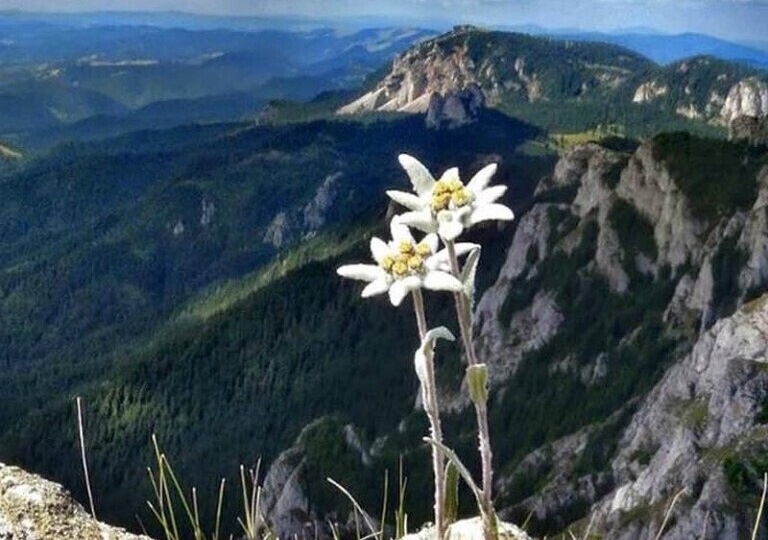 Географ в кресле. Тест "Блиц-турнир: да и нет"
