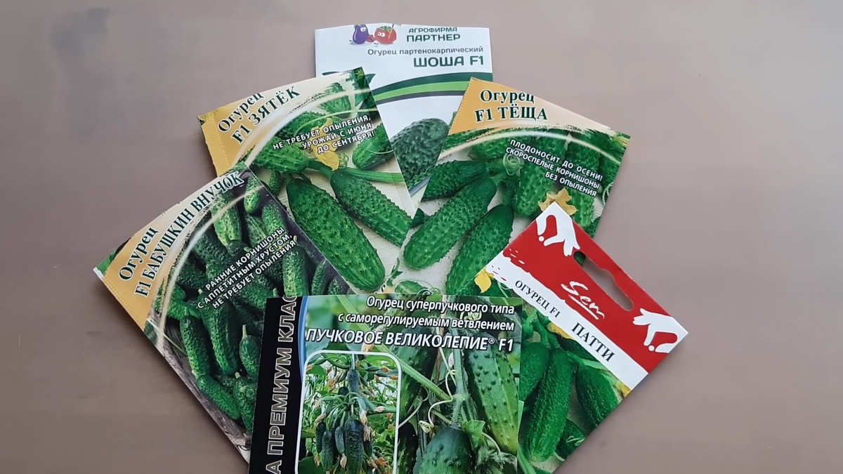 Партенокарпические гибриды огурцов. Все они раннеспелые и предназначены для закрытого грунта.