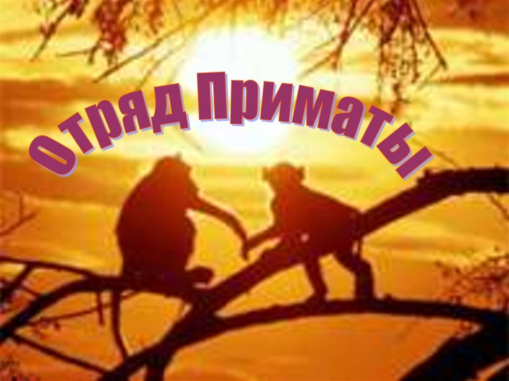 Ты помнишь, как всё начиналось?