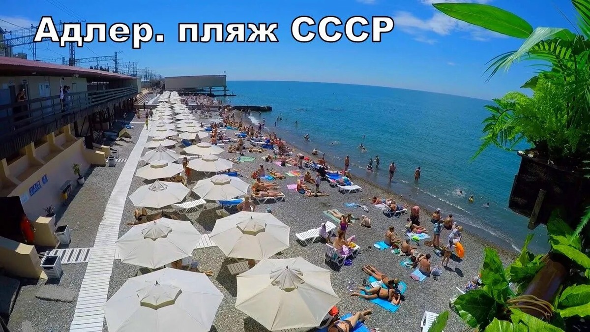 Из открытых источчников.