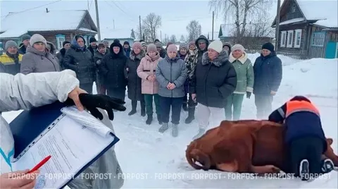 «Правовые и экономические аспекты изъятия скота в Новосибирской области: компенсации, судебные иски и рекомендации для пострадавших»