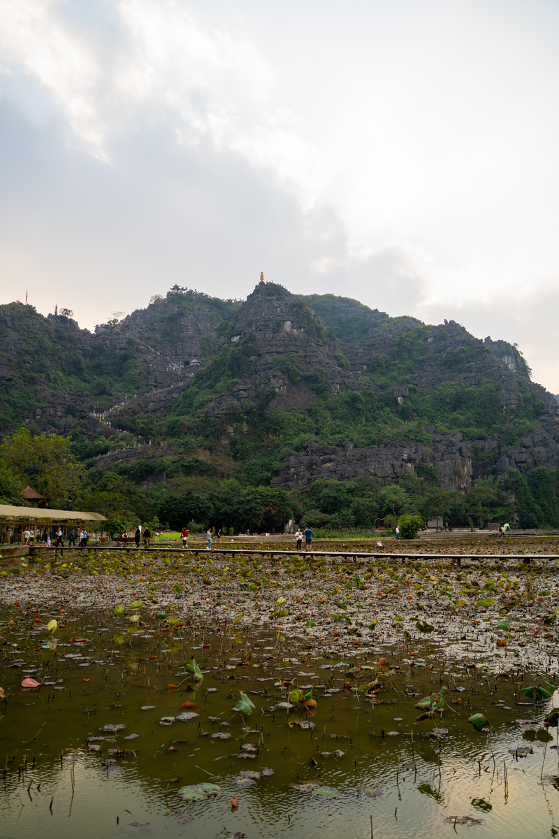 Вот здесь лестницу видно
