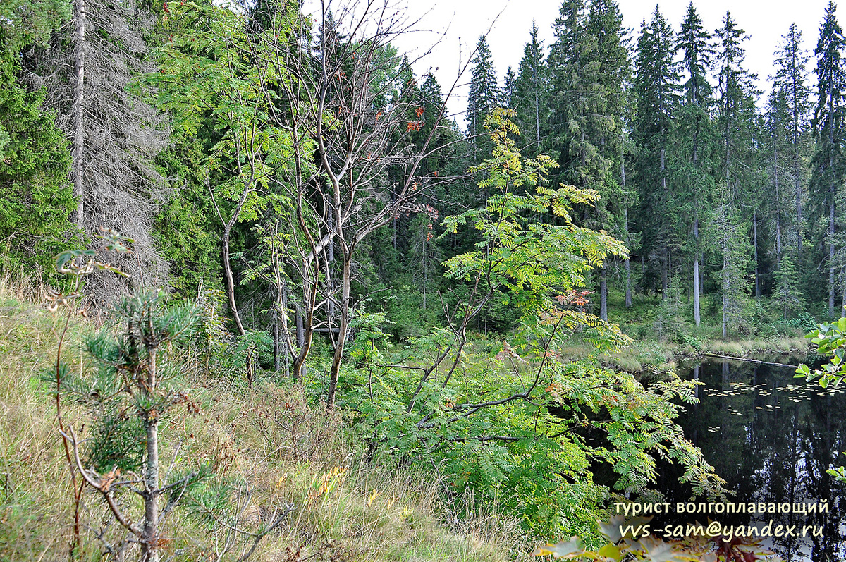 Фото 09.09.2011.