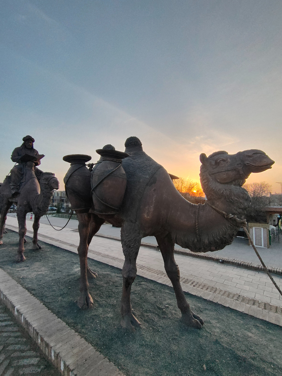 Фото автора.