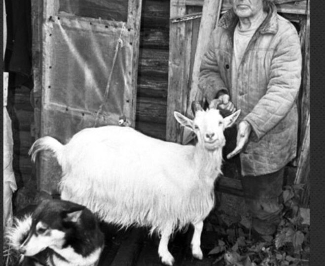 Бобыли на Руси: их презирали даже больше, чем нищих. И исчезли ли они в современном мире