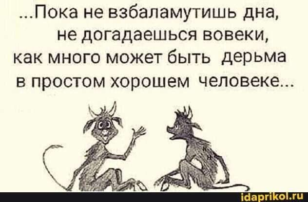 фото из соцсетей