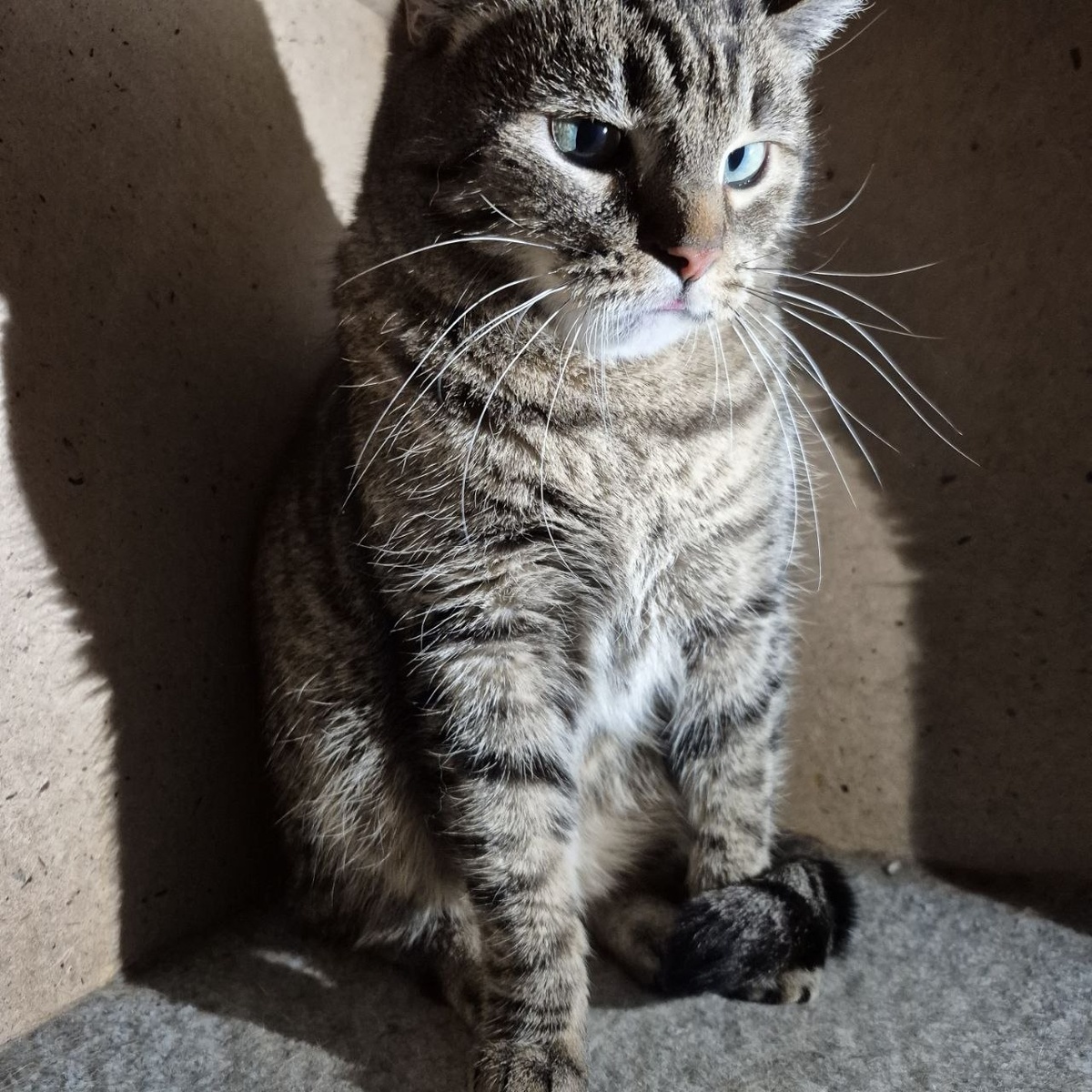 Не звонят мне... Честно скажи, что не звонят