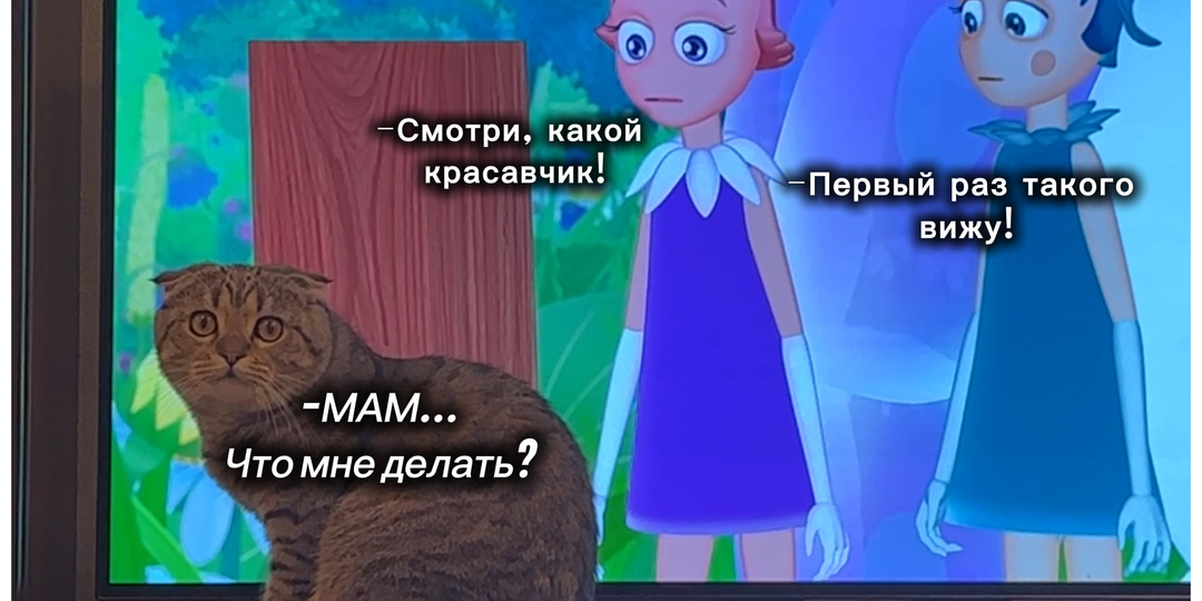 Новый герой мультфильма😻