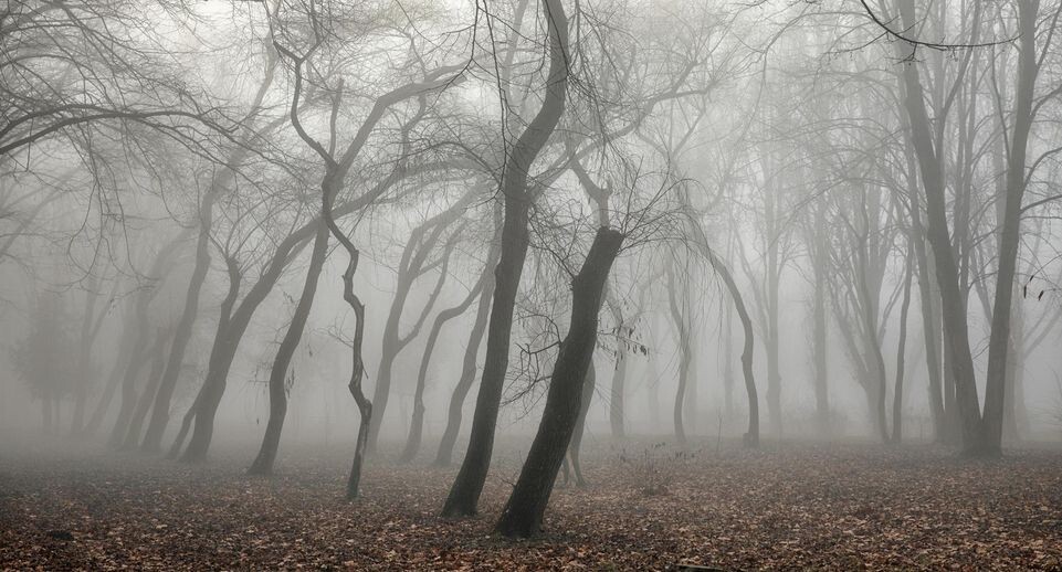    Sidoropolev/http://imagebroker.com/#/search/ / www.globallookpress.com