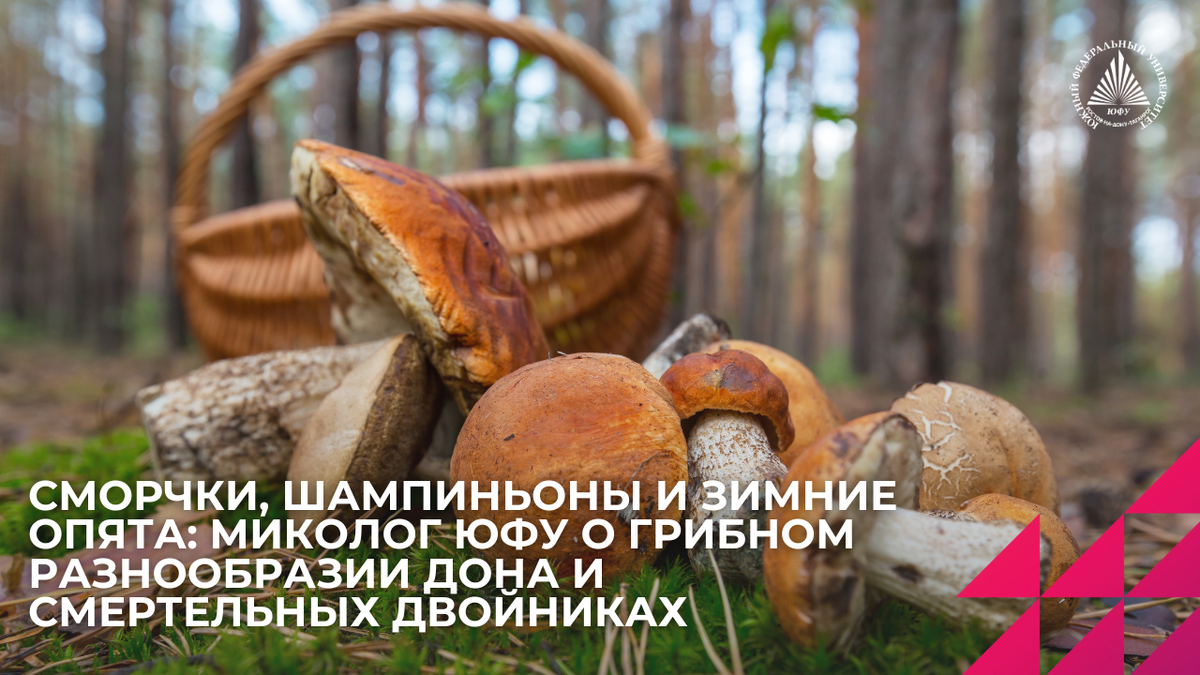 Источник: freepik.com