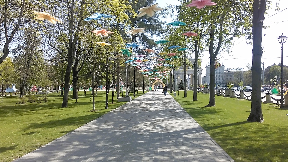 Фото автора