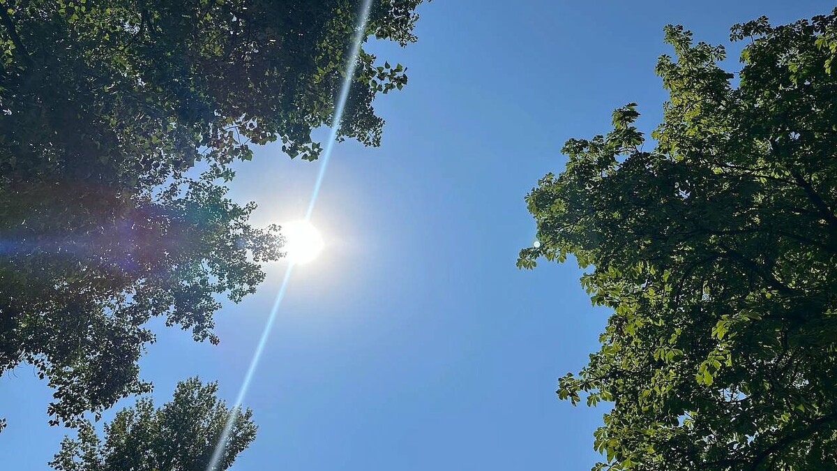    Фото: телеканал «Краснодар»