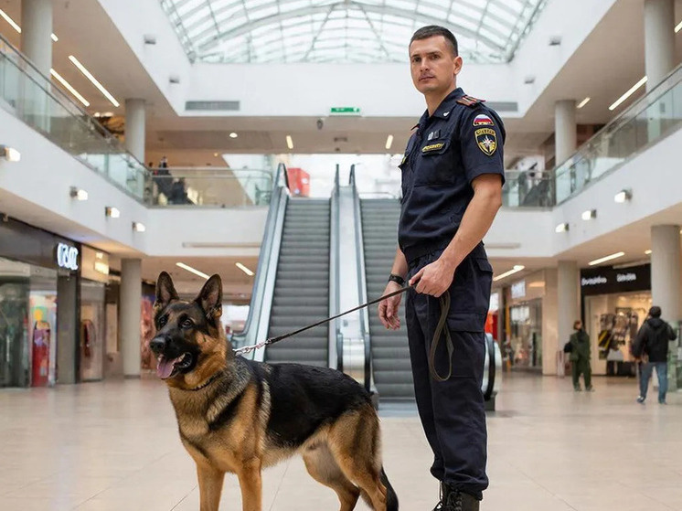     Фото: нейросеть