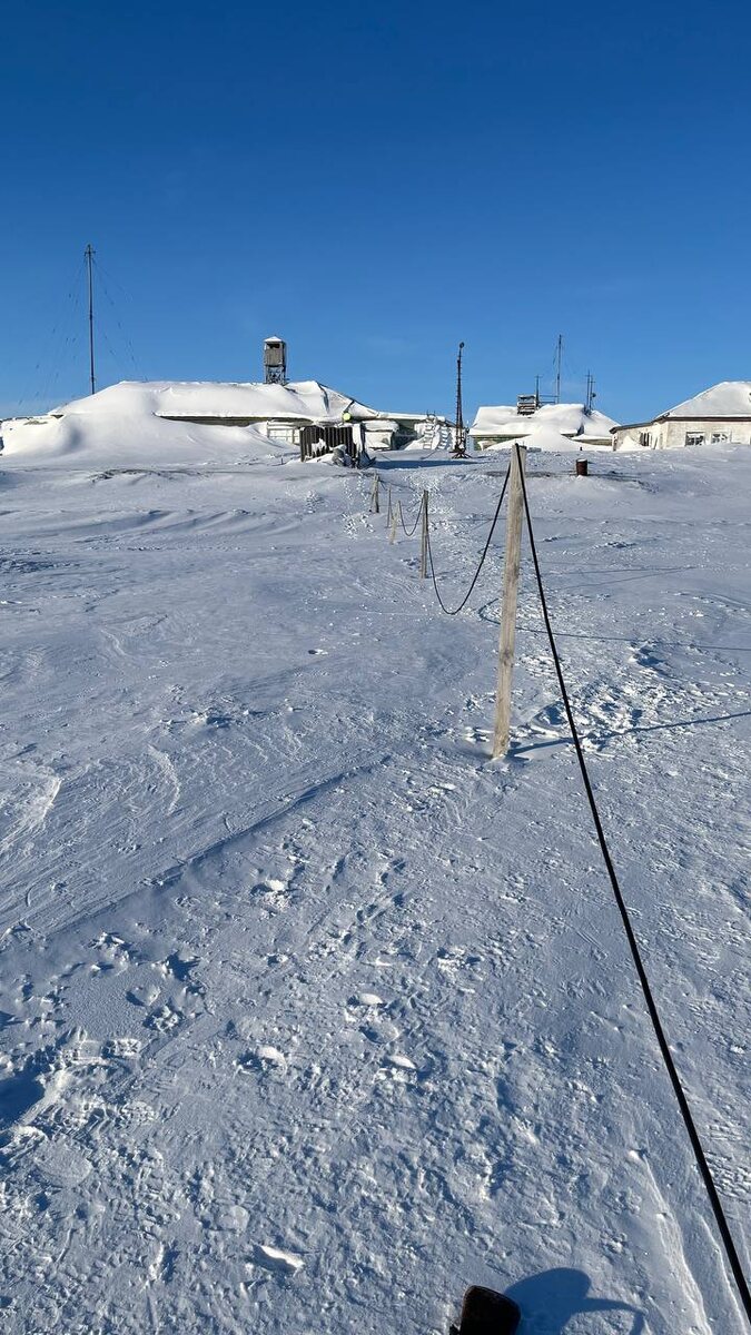 Арктика, мыс Челюскин - место, где дикая нерпа выбрала тёплую лунку рядом с метеостанцией. Фото Александра Фанталова