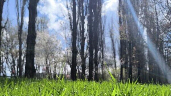    © РИА Новости Крым