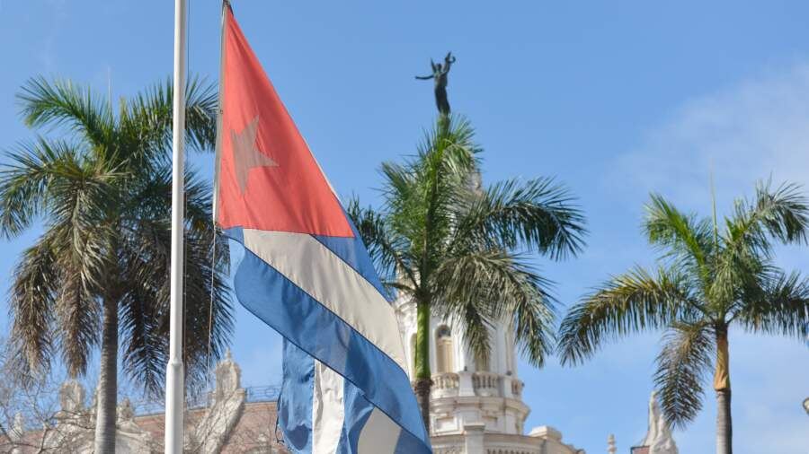    Фото: Global Look Press/Artur Widak