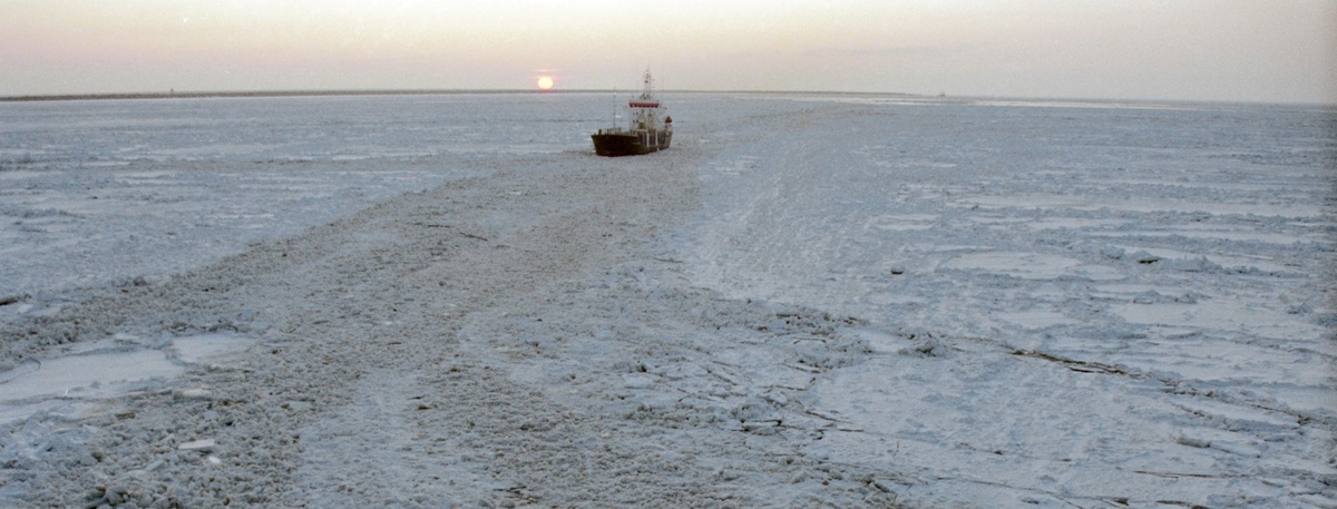    Автор фото: ТАСС