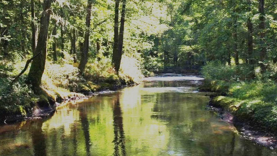 Жизнь длинною в сто лет