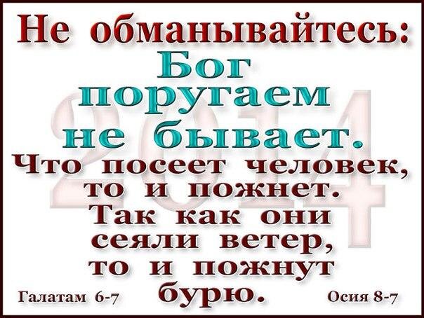 Божьи суды и я