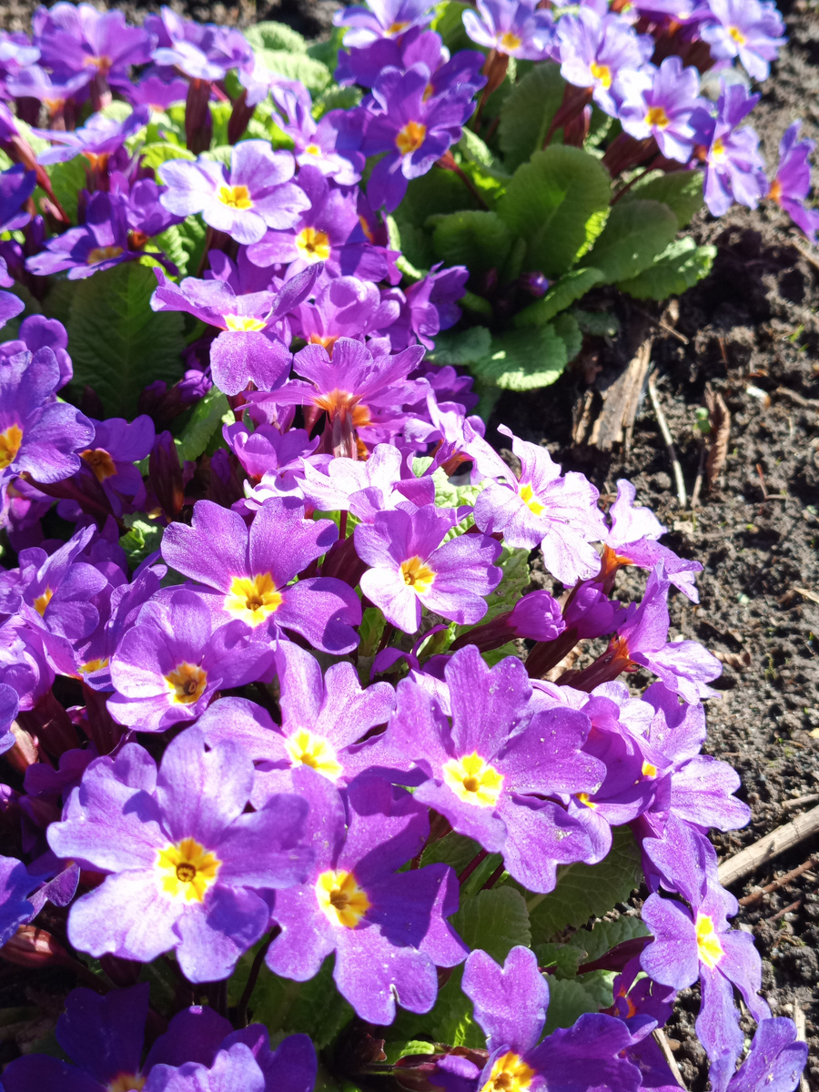 в галерее 2 фото