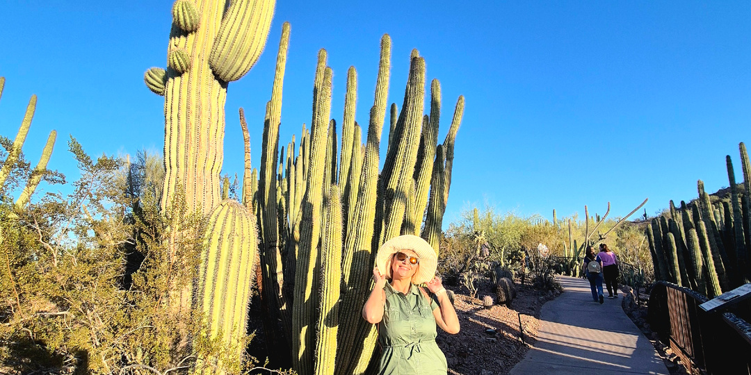 Сад кактусов в Аризоне