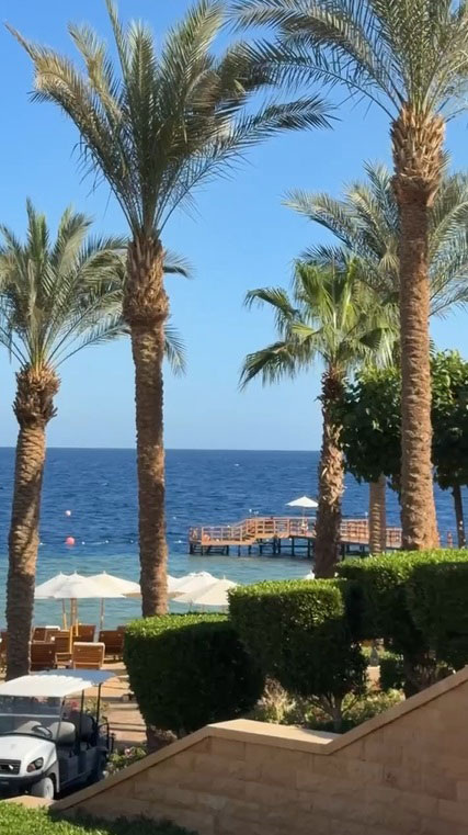 Египет, Красное море
