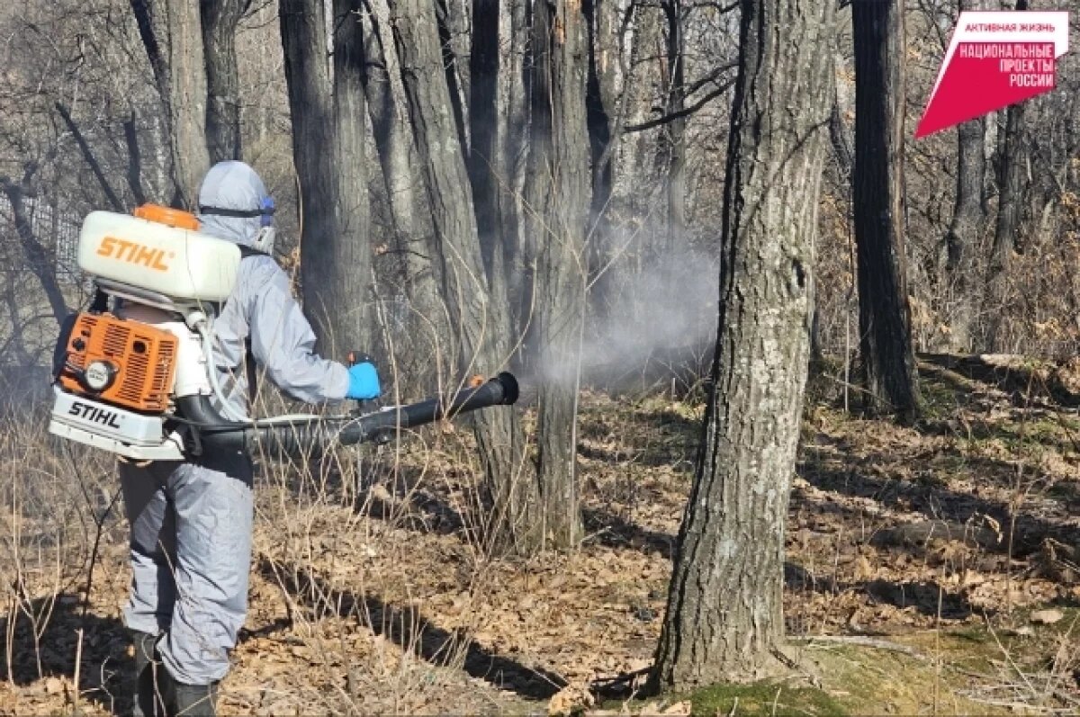    В Хабаровском крае запустили биологический щит против клещей