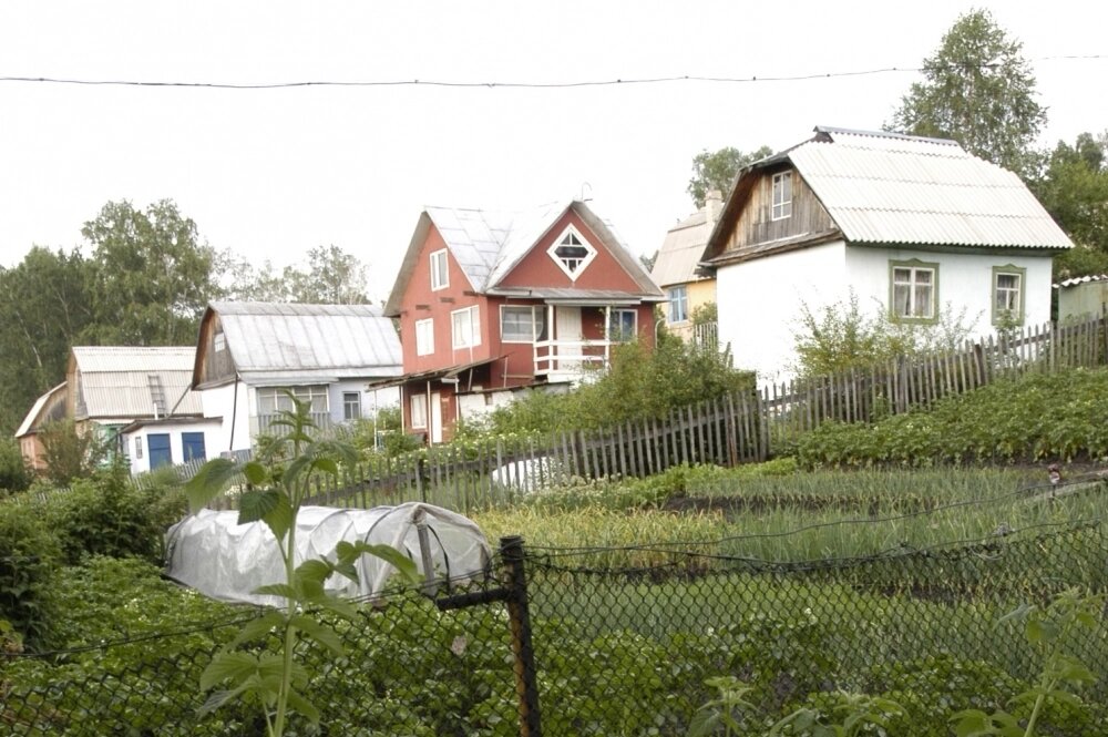    Фото: АиФ/ Сергей Кельберг