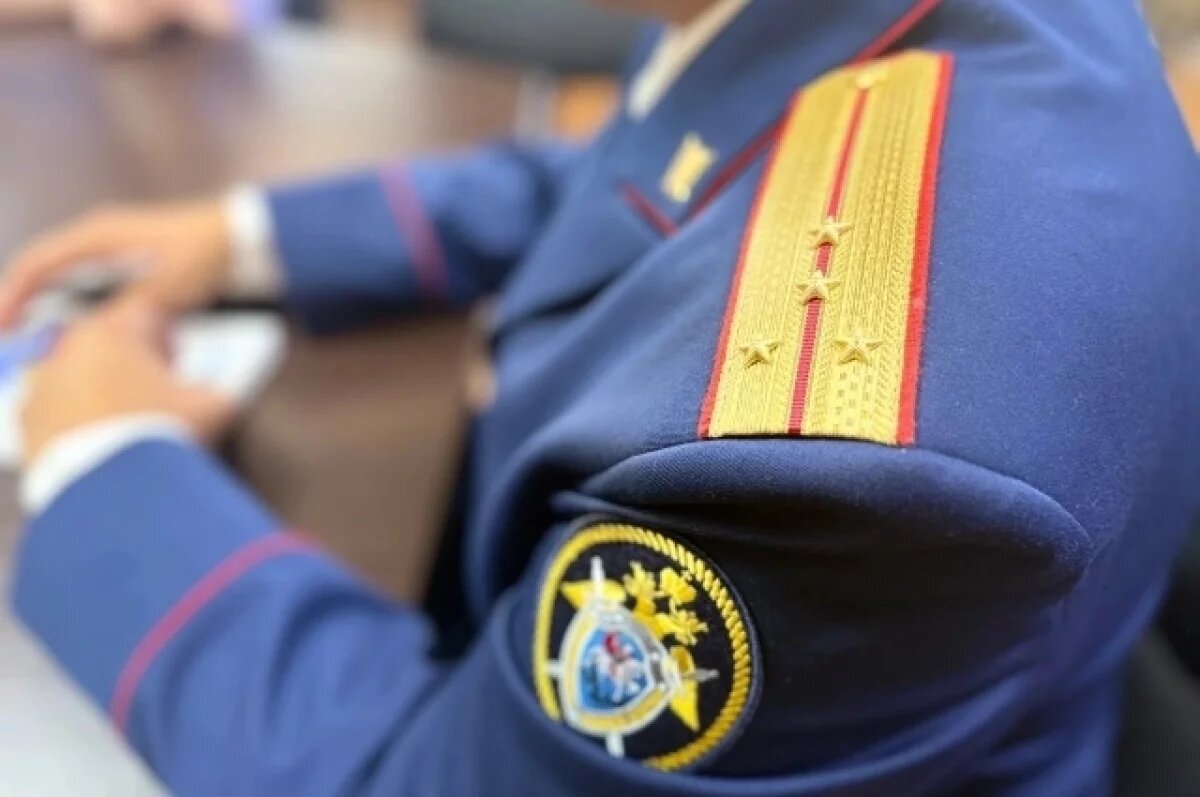    Жительница Камчатки ответит за травму женщины, упавшей с лошади