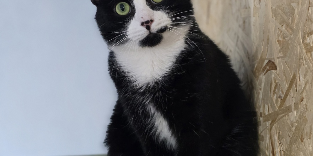 Минус девять. Строим летом. Если доживём