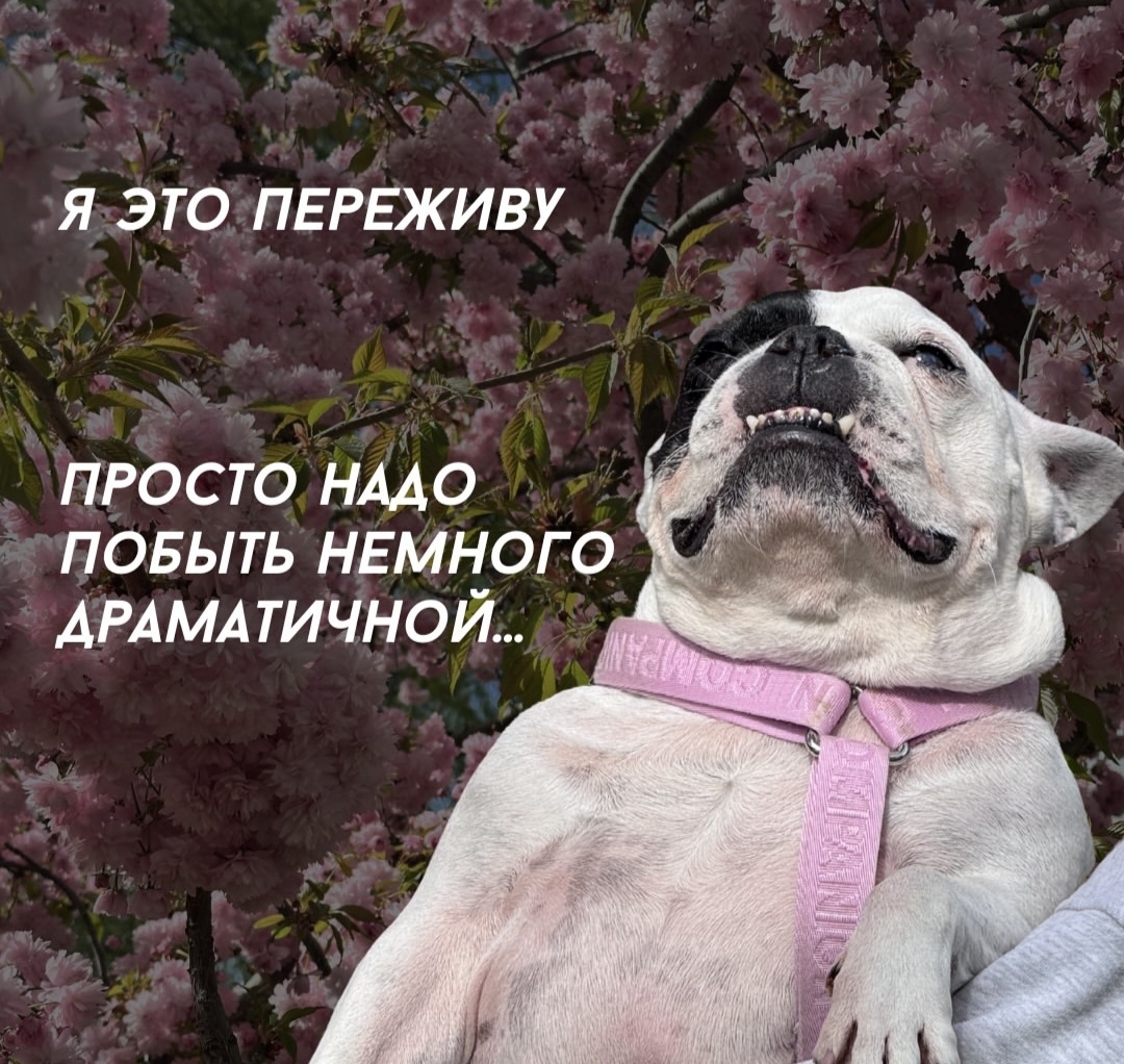 иллюстрация из запрещенной соцсети