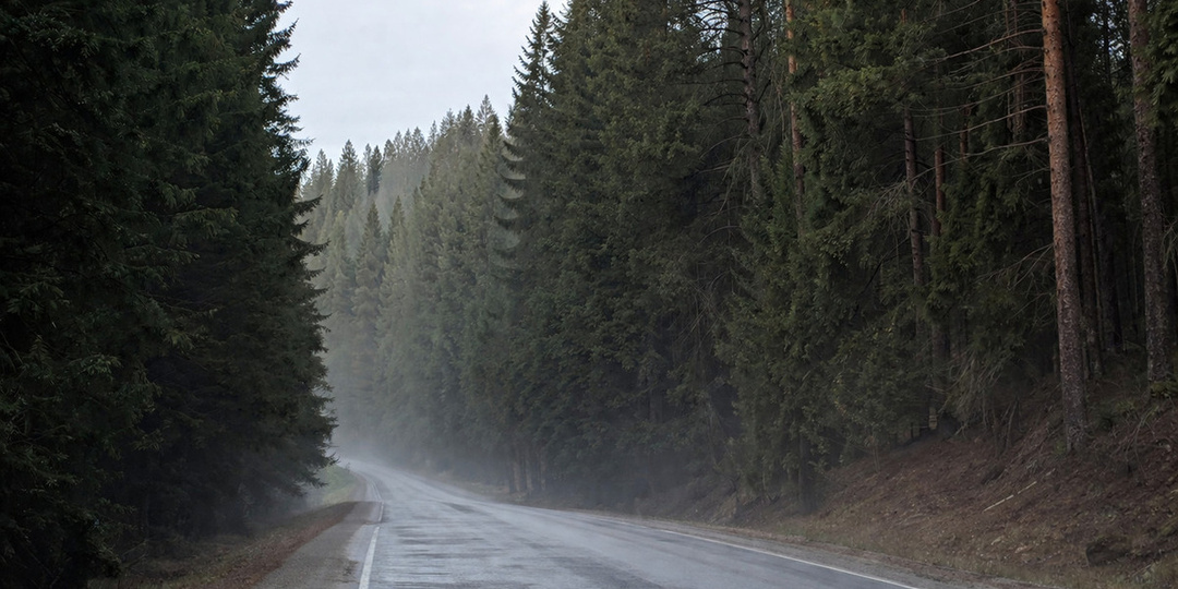 Стало известно о «банде егерей»: десятки убийств в сибирской тайге скрывались годами