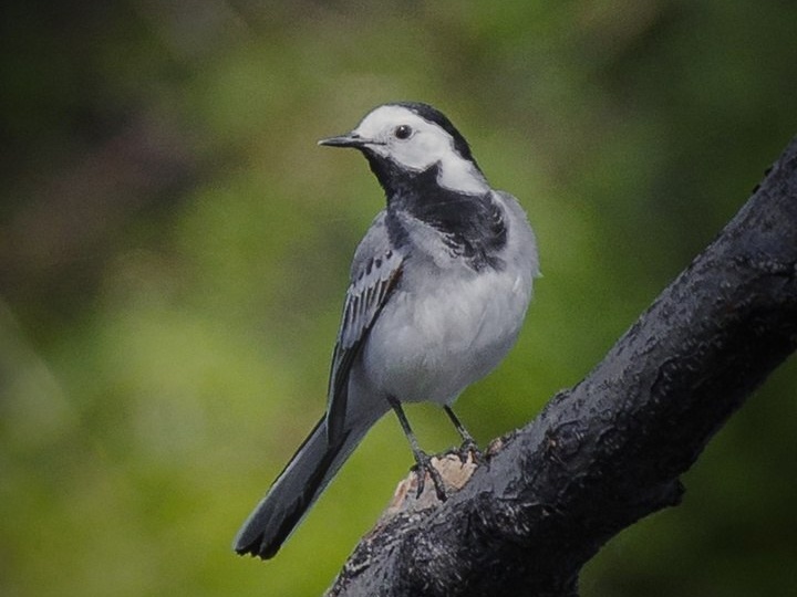 Ежедневник на 16 апреля