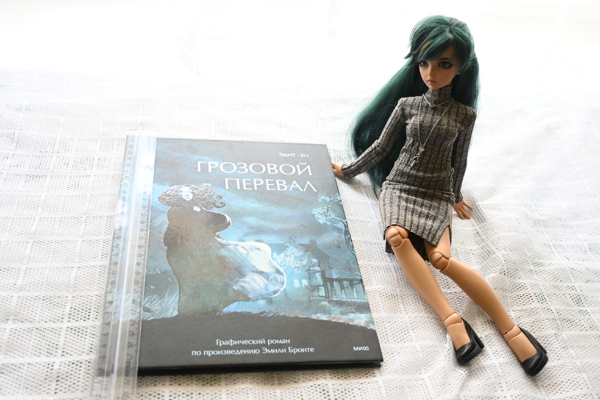 Сравнение с Минифи (рост 40 см), длина книги 28 см
