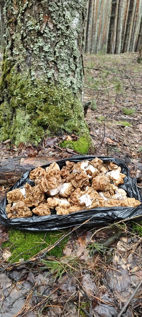 Татьяна Александрова. 14.04.26