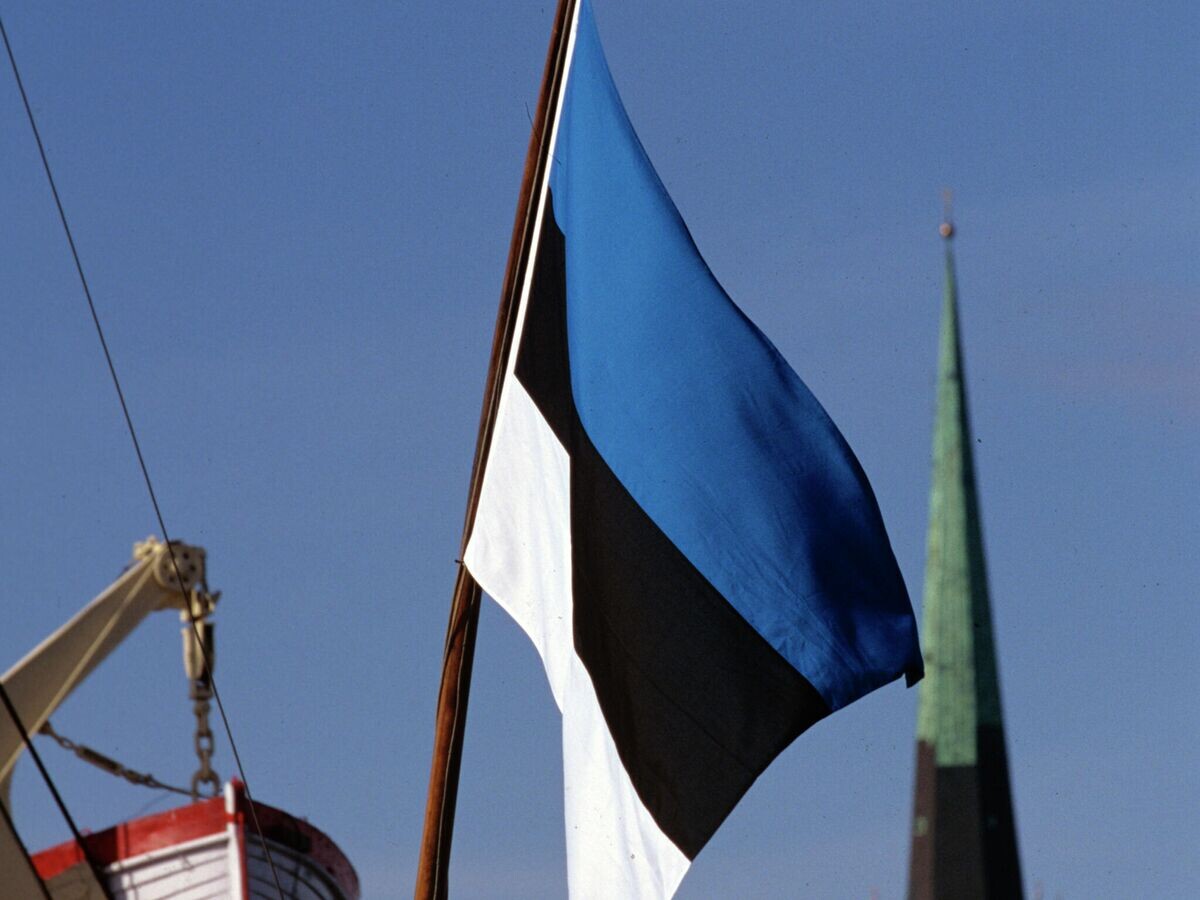    Государственный флаг Эстонии | © РИА Новости / Владимир Федоренко