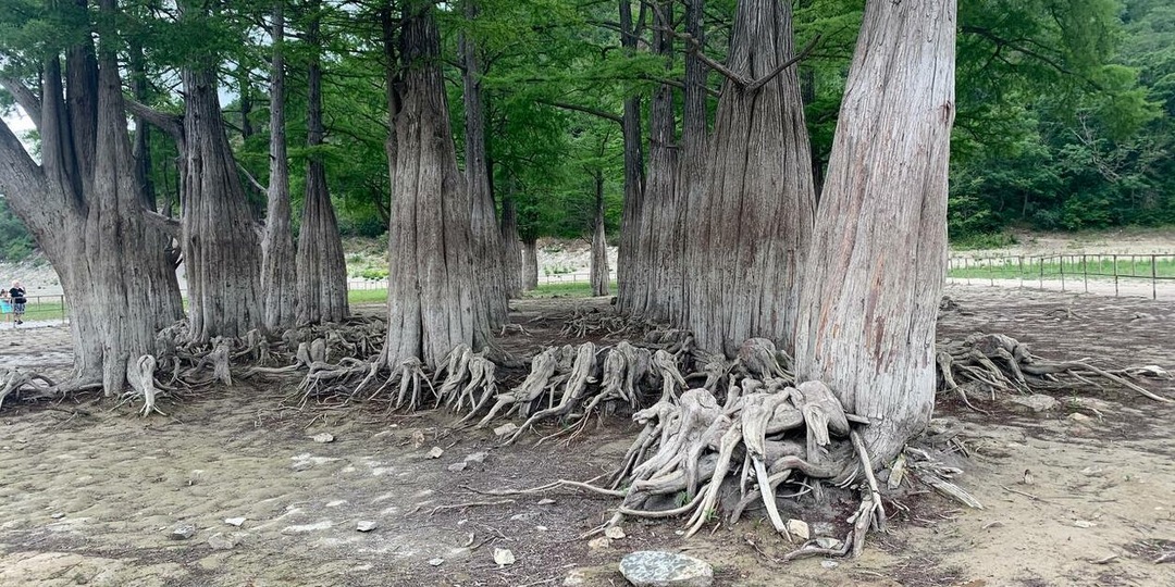 КУДА ИСЧЕЗАЕТ ВОДА ИЗ ОЗЕРА СУККО?