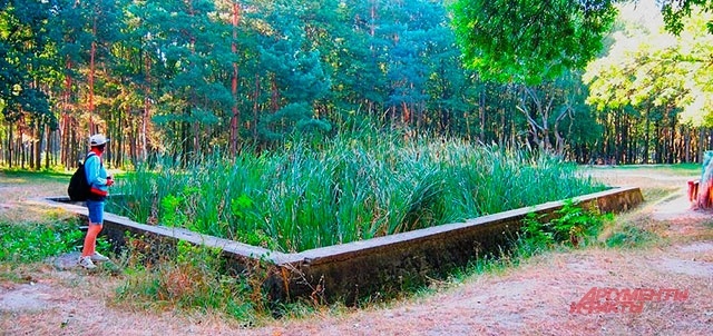    Ставка Гитлера Фото: АиФ