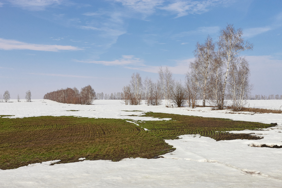 29.03.2026 г., Пензенский район, около ст. Ардым
Canon EOS 1Ds Mark III, Carl Zeiss Milvus 50/1.4