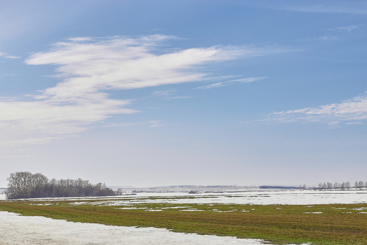 29.03.2026 г., Пензенский район, около ст. Ардым
Canon EOS 1Ds Mark III, Carl Zeiss Milvus 50/1.4