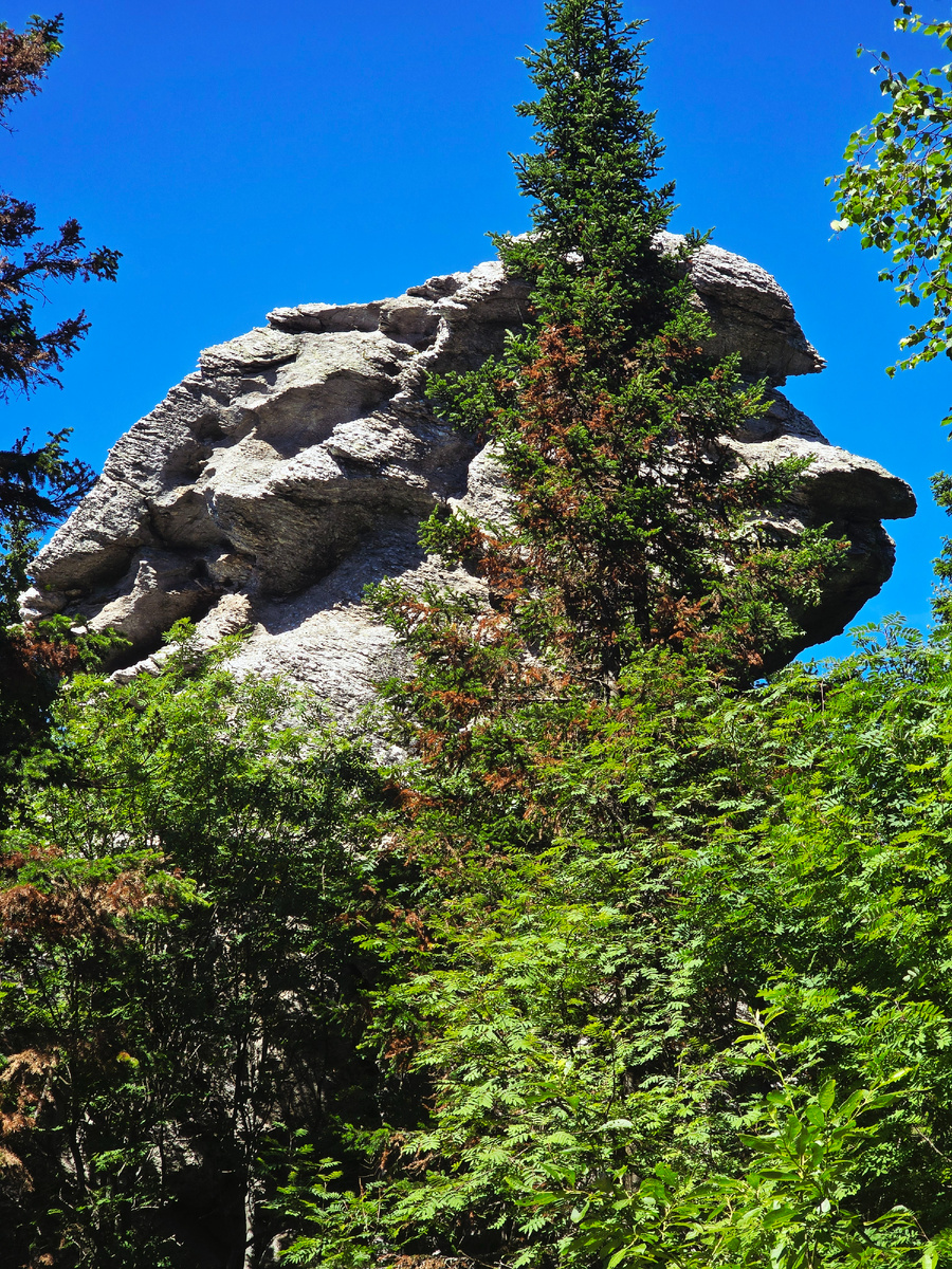 Шунут. Старик Камень