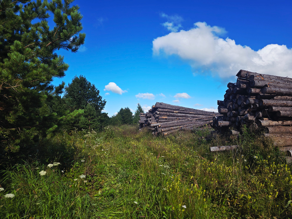 По дороге из Лавровки к Шунуту