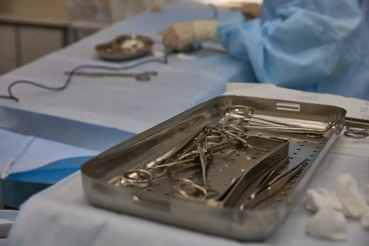    Источник: primamedia.ru/ Кристина Минаева