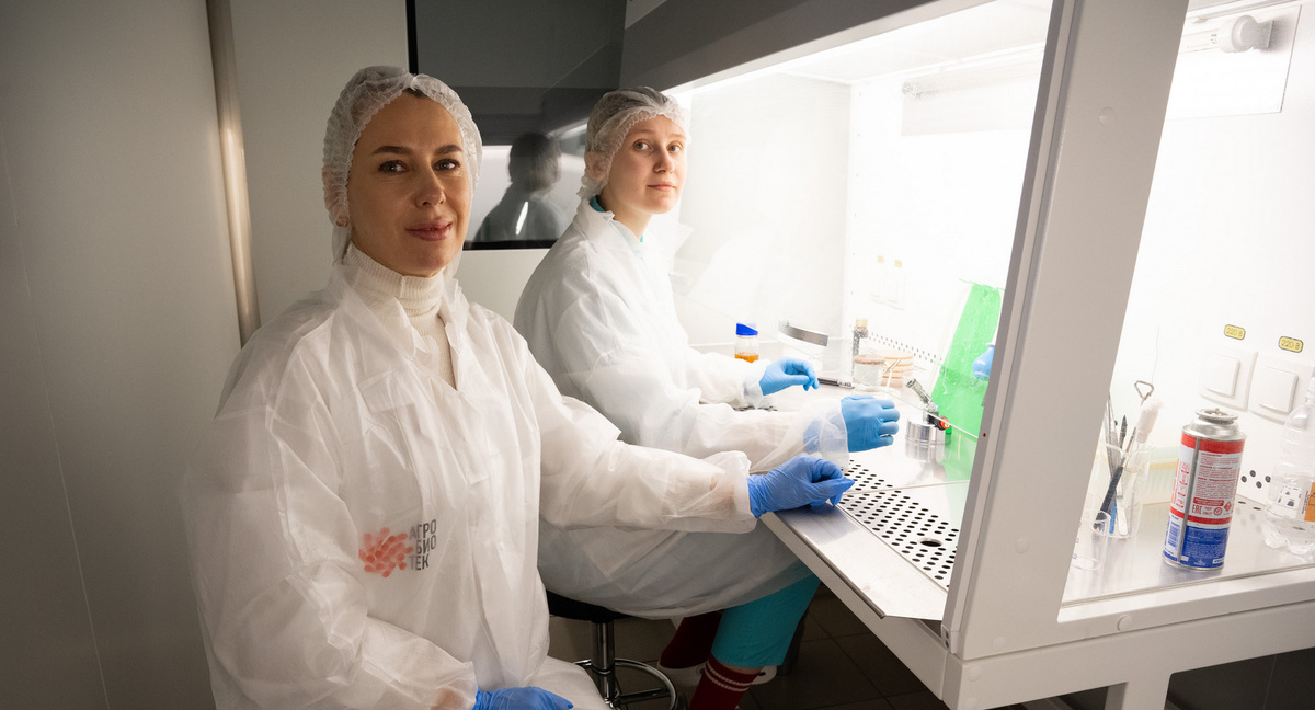 Практические занятия по программе дополнительного профессионального образования «Промышленная биотехнология: от идеи до препарата» от ВИША ТГУ и «Артлайф»
Фото: ВИША ТГУ