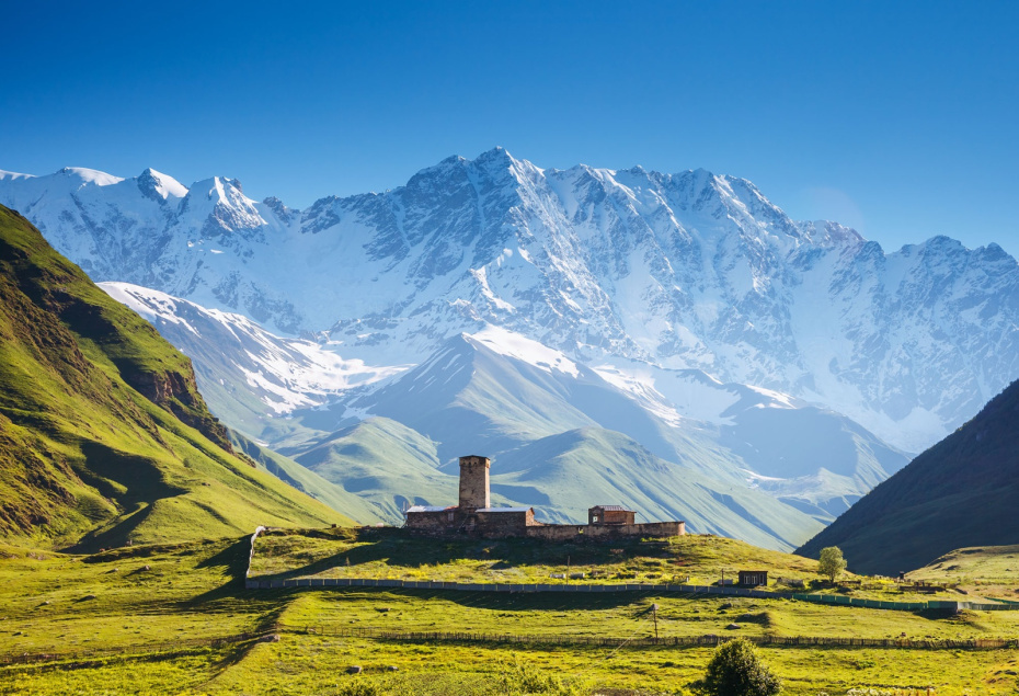    Shutterstock/FOTODOM