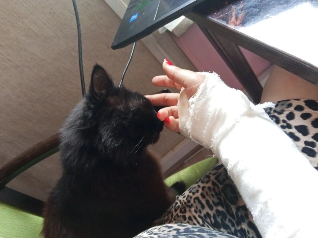 Я и снова кот