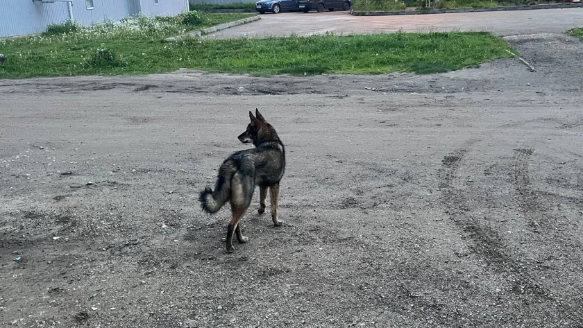    Фото из архива редакции