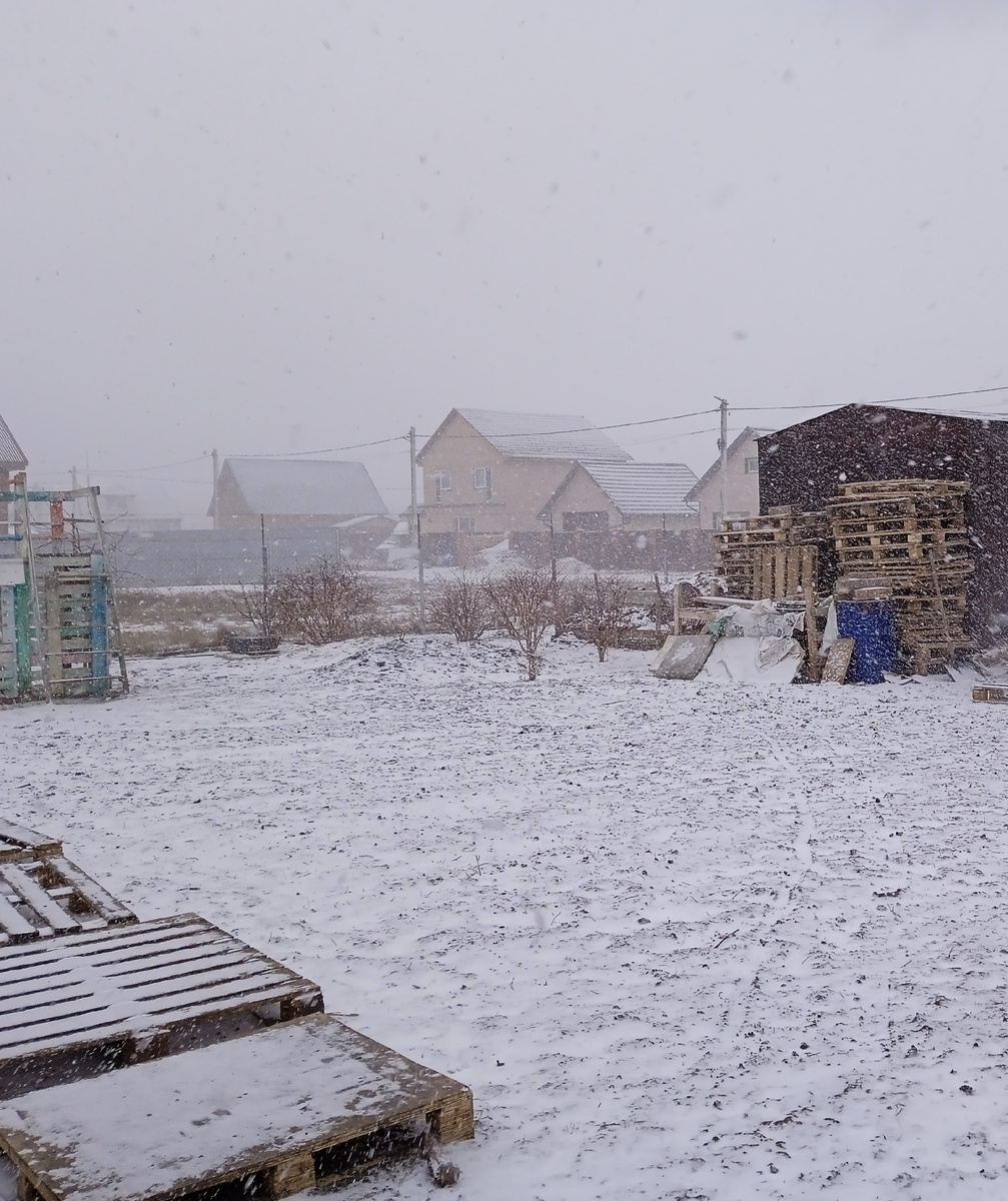 За ночь насыпало