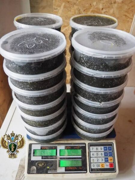    Фото:официальный канал Дальневосточной транспортной прокуратур